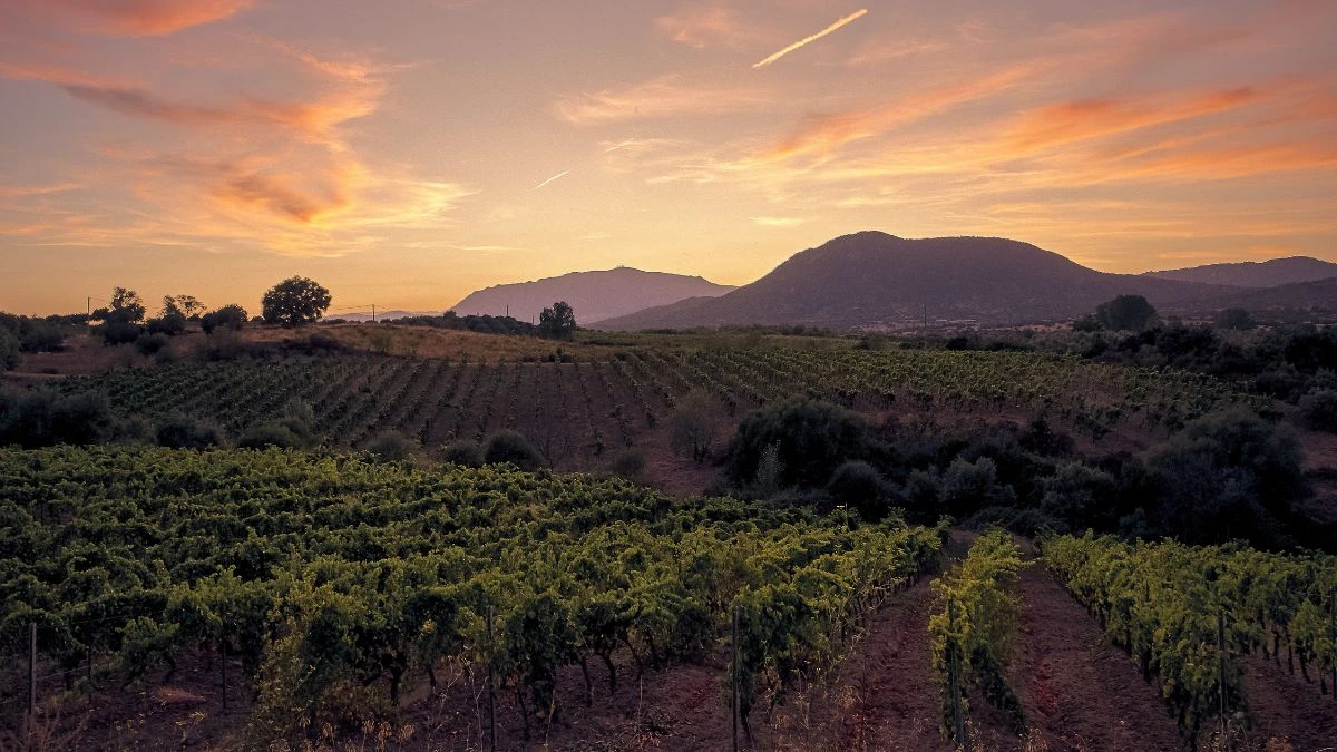 Napa Valley Scenic Route