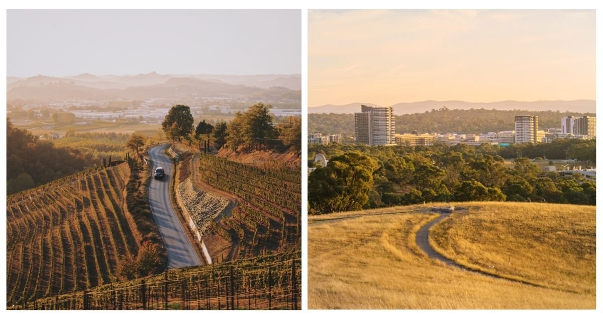 Napa Valley vs. Paso Robles