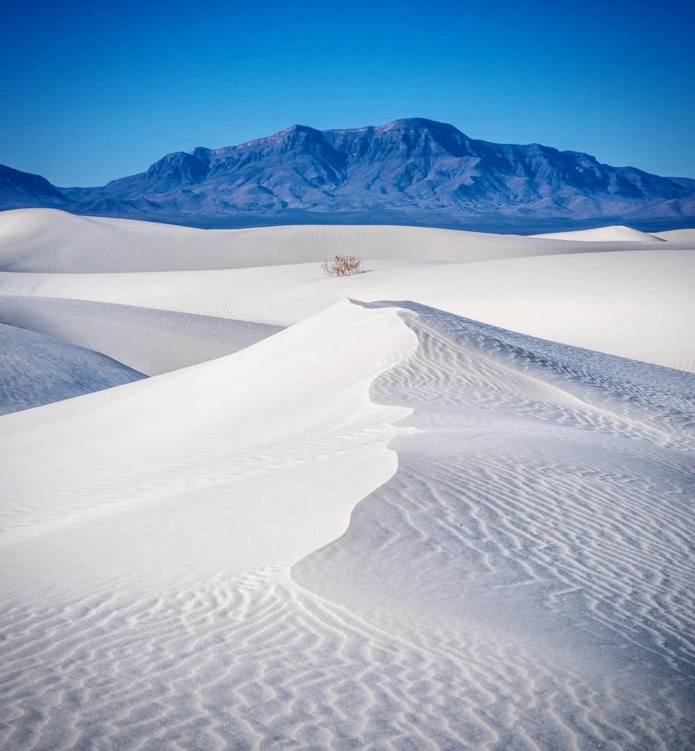 New Mexico's Overlooked Desert Gems