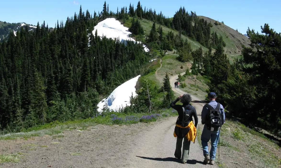 Olympic Peninsula Gives You Mountains, Rainforest, and Wild Coast
