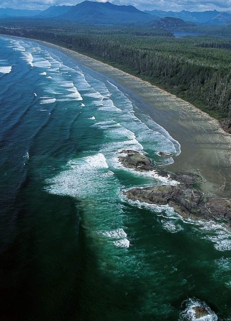 Olympic Rainforest → Pacific Rim National Park Reserve, Canada Olympic Rainforest → Pacific Rim National Park Reserve, Canada
