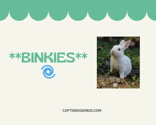 One-Word Bunny Captions For Instagram - Binkies
