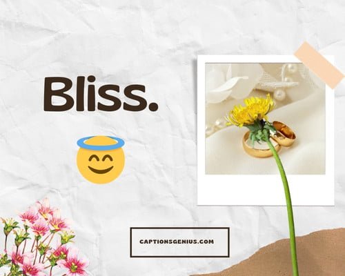 One word Pre Wedding Captions For Instagram - Bliss.