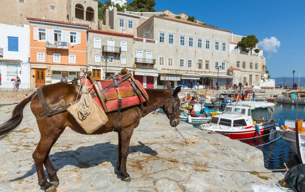 Pair Atlantic Beaches With Culture In Essaouira