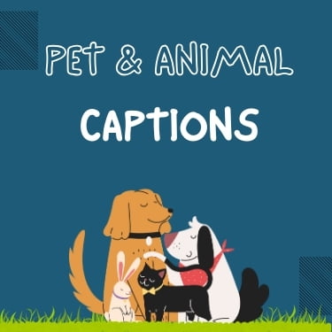 Pet and Animals Captions