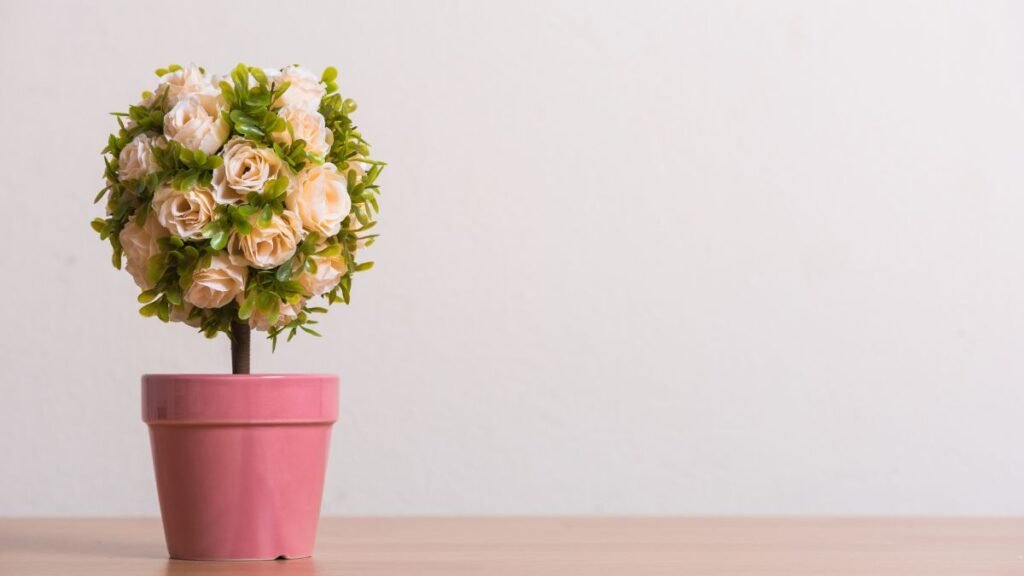 Plants for Miniature Gardens