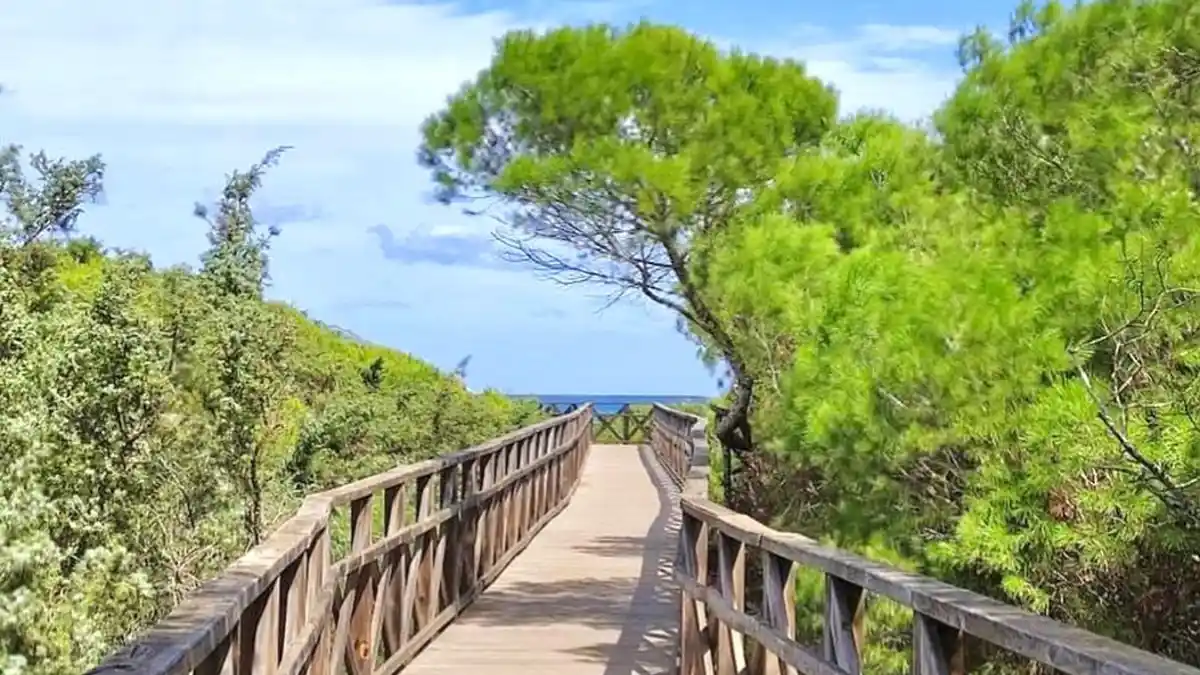 Playa de Muro, Mallorca, Spain