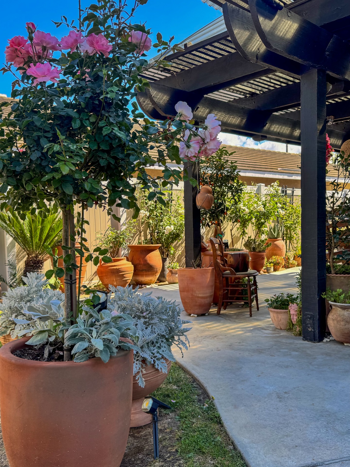 Potted Clay Garden