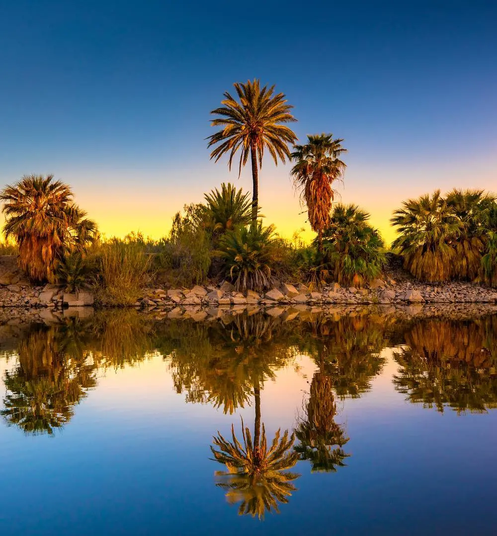 Quartzsite's Winter Circus vs. Yuma's Hidden Oasis