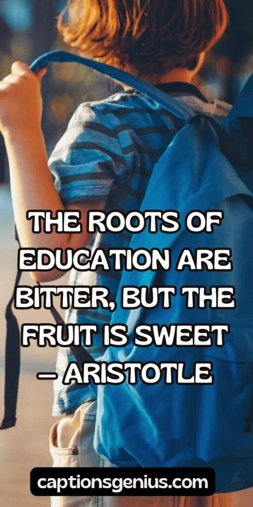 Quotes Back To School Captions For Instagram - The roots of education are bitter, but the fruit is sweet — Aristotle.