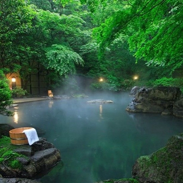 Reading the Landscape Natural Hot Spring Indicators