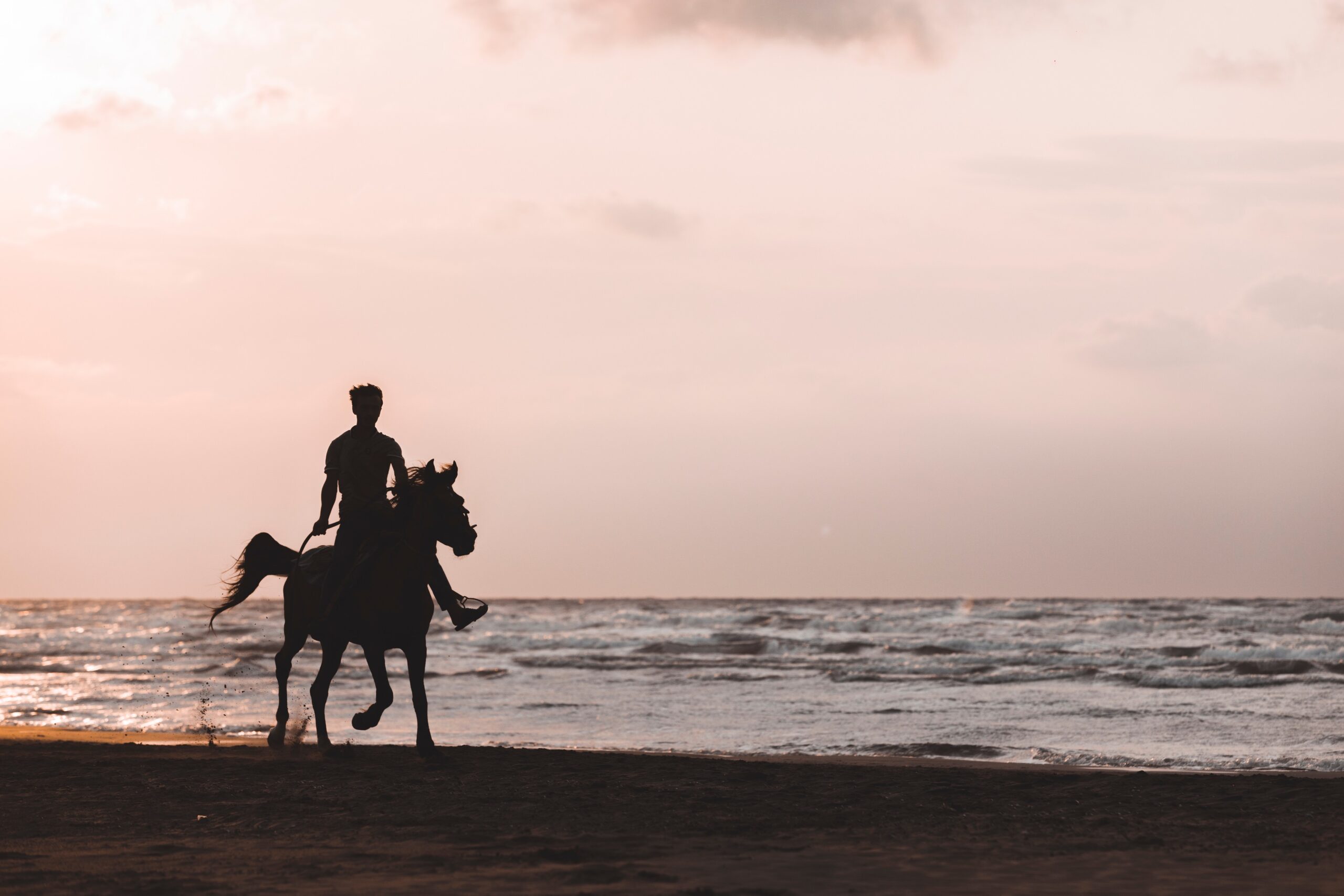 Horseback Riding in the Surf