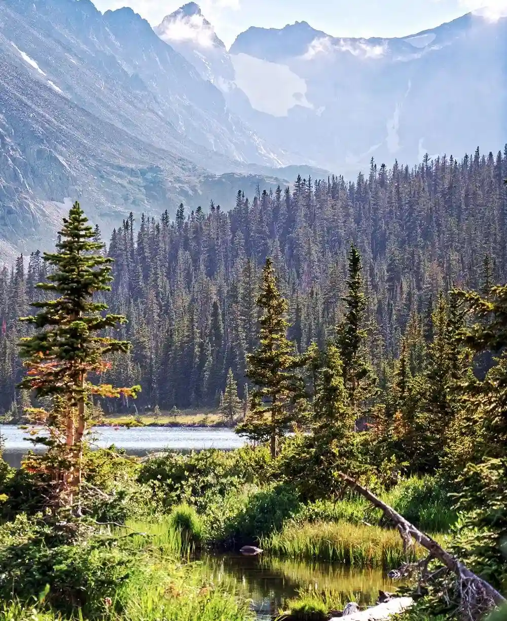 Rocky Mountain National Park's Crowds vs. Indian Peaks' Freedom