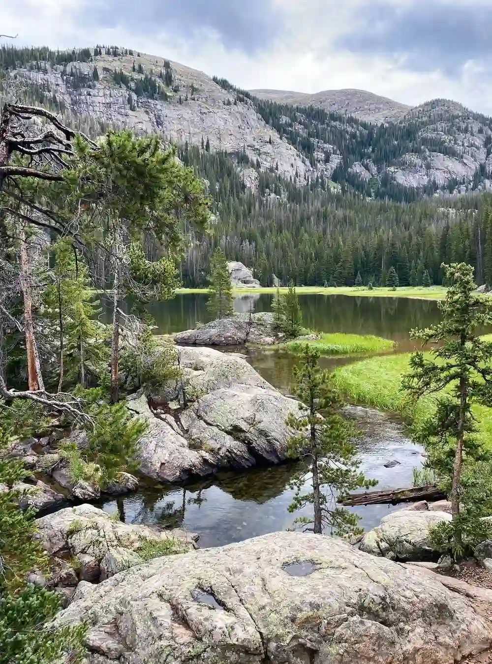 Rocky Mountain - Roosevelt National Forest
