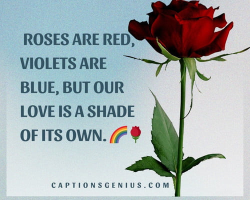 Romantic Rose Instagram Captions For Love - Roses are red, violets are blue, but our love is a shade of its own.  