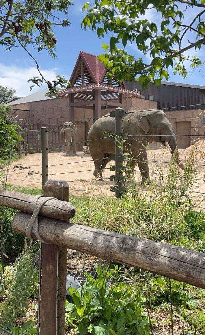 Sedgwick County Zoo Sedgwick County Zoo