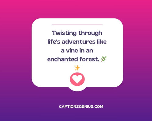 Self-Captions For Instagram - Twisting through life's adventures like a vine in an enchanted forest. 