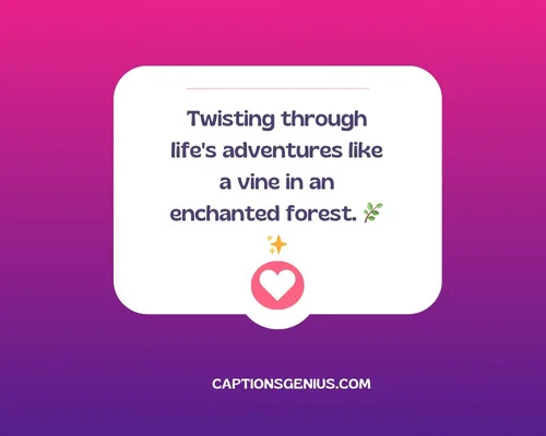 Self-Captions For Instagram - Twisting through life's adventures like a vine in an enchanted forest.