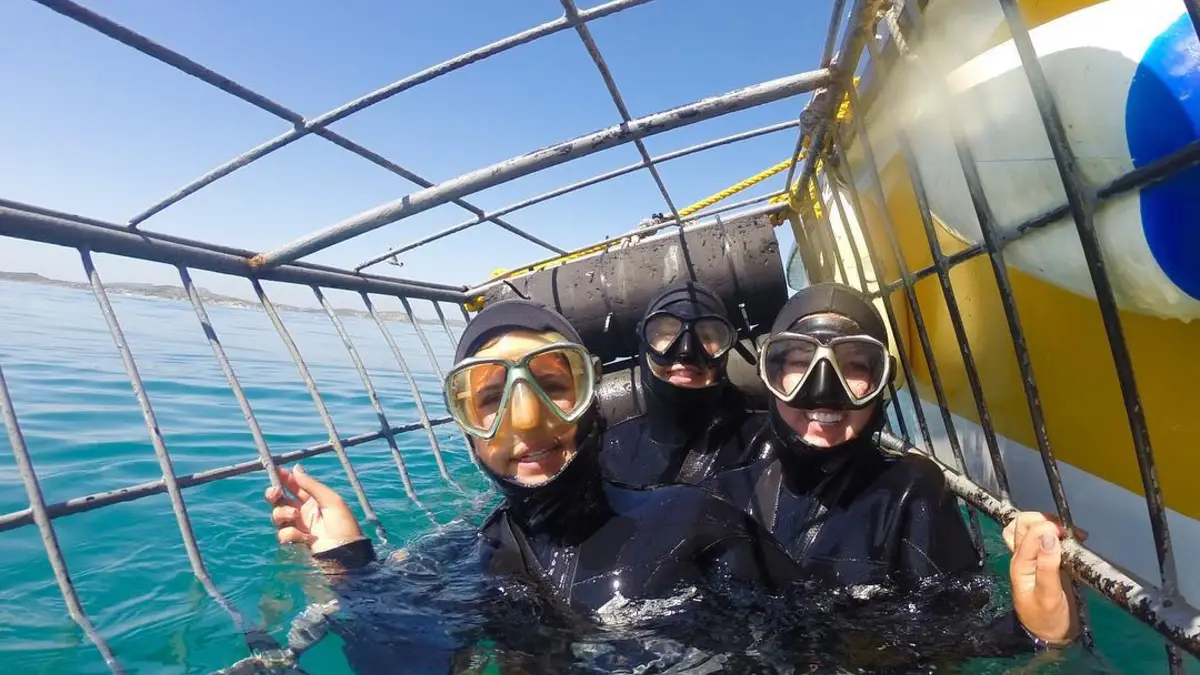 Shark Cage Diving, South Africa