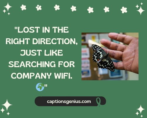 Short Captions For Random Click For Instagram - Lost in the right direction, just like searching for company wifi.