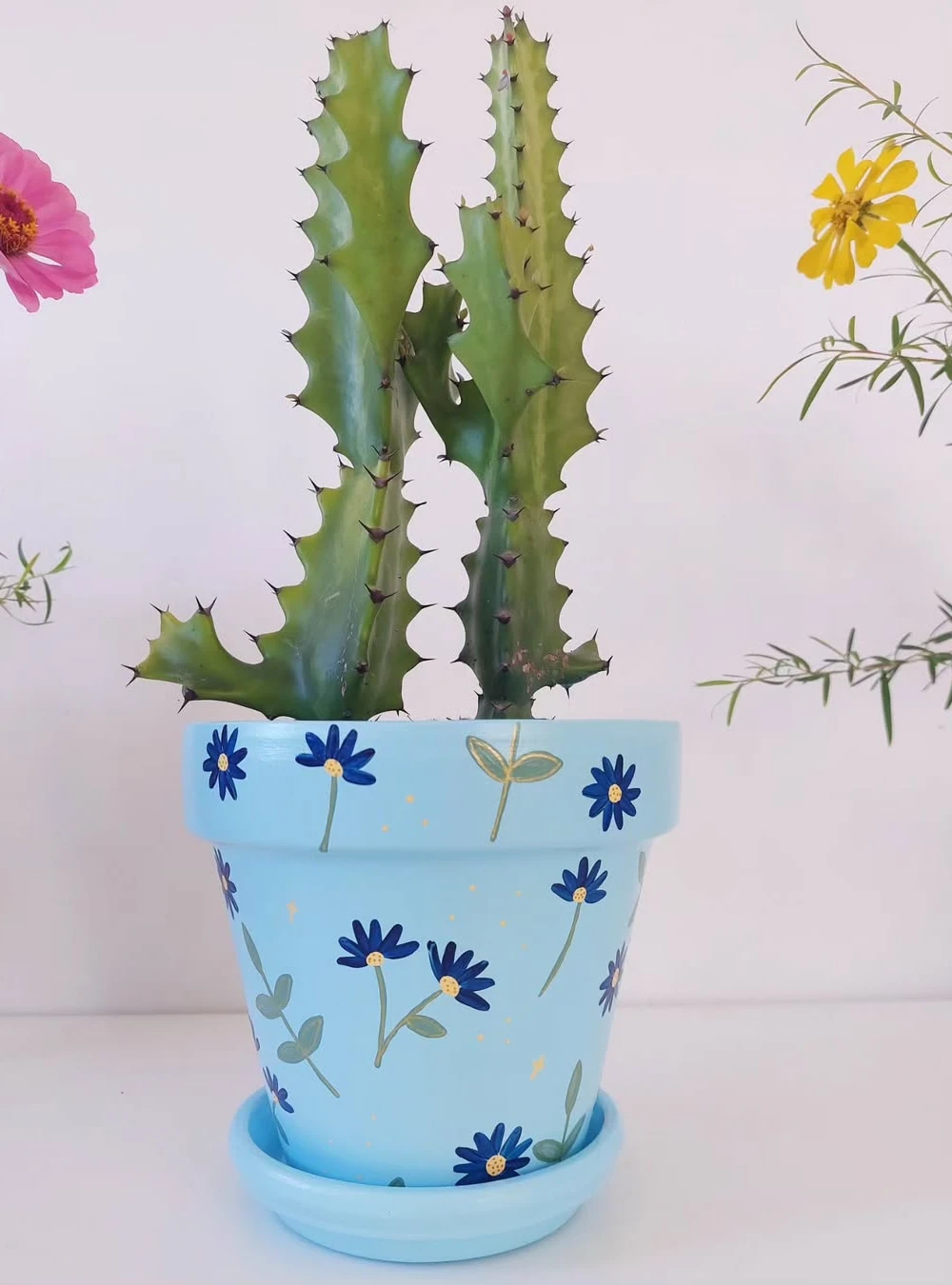 Sky Daisy Garden Pot