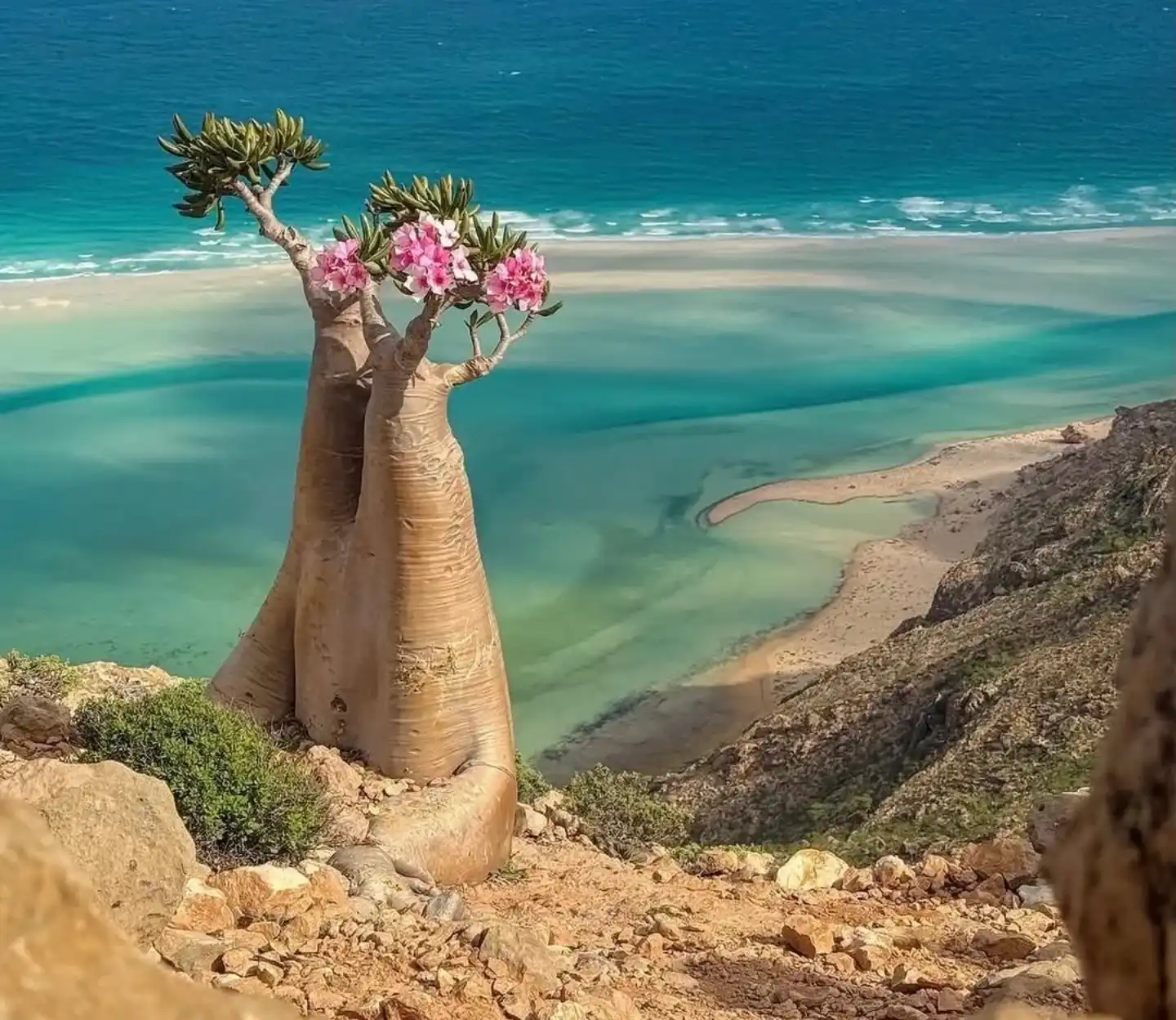 Socotra, Yemen