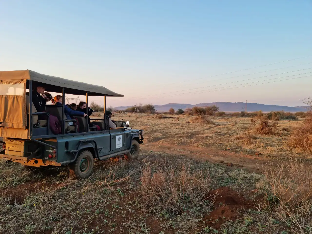 South Africa Can Feel Premium Until You Add a Safari