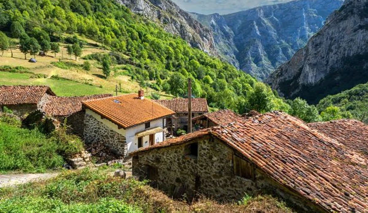 Spain (Ponga & Asturias Regional Grants)
