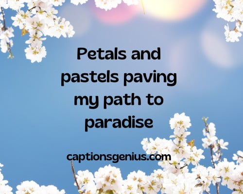 Spring Captions for Instagram Pictures - Petals and pastels paving my path to paradise.