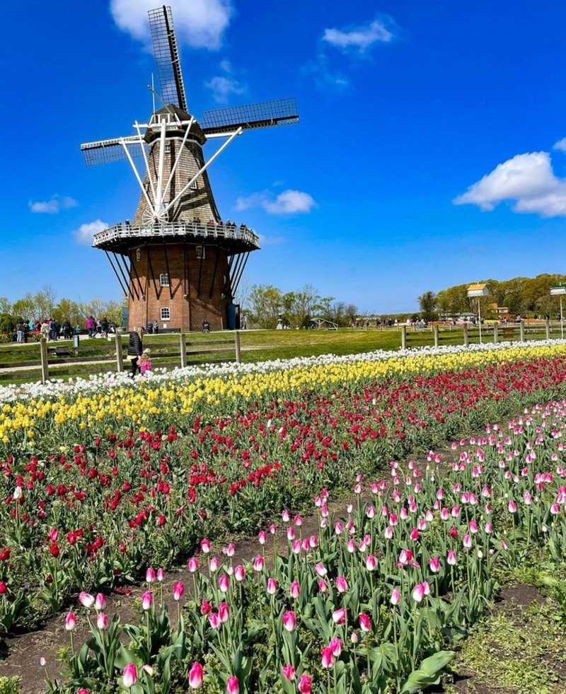 Spring Flowers and Fewer Crowds Spring: Flowers and Fewer Crowds