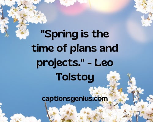 Spring Vibes Quotes - "Spring is the time of plans and projects." - Leo Tolstoy.