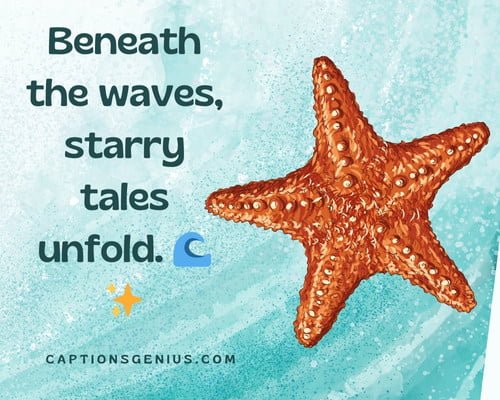Starfish Captions For Instagram - Beneath the waves, starry tales unfold. ๐โจ