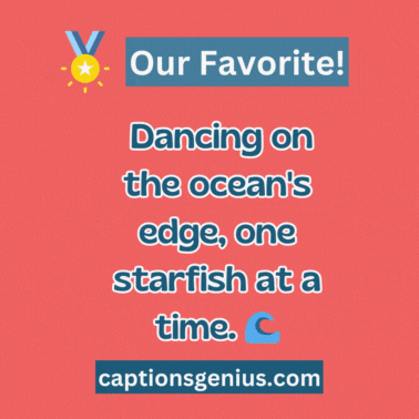 Starfish Captions For Instagram - GIF.
