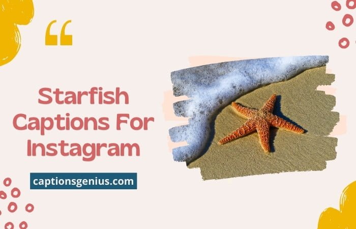 350-best-starfish-captions-for-instagram-ocean-vibes