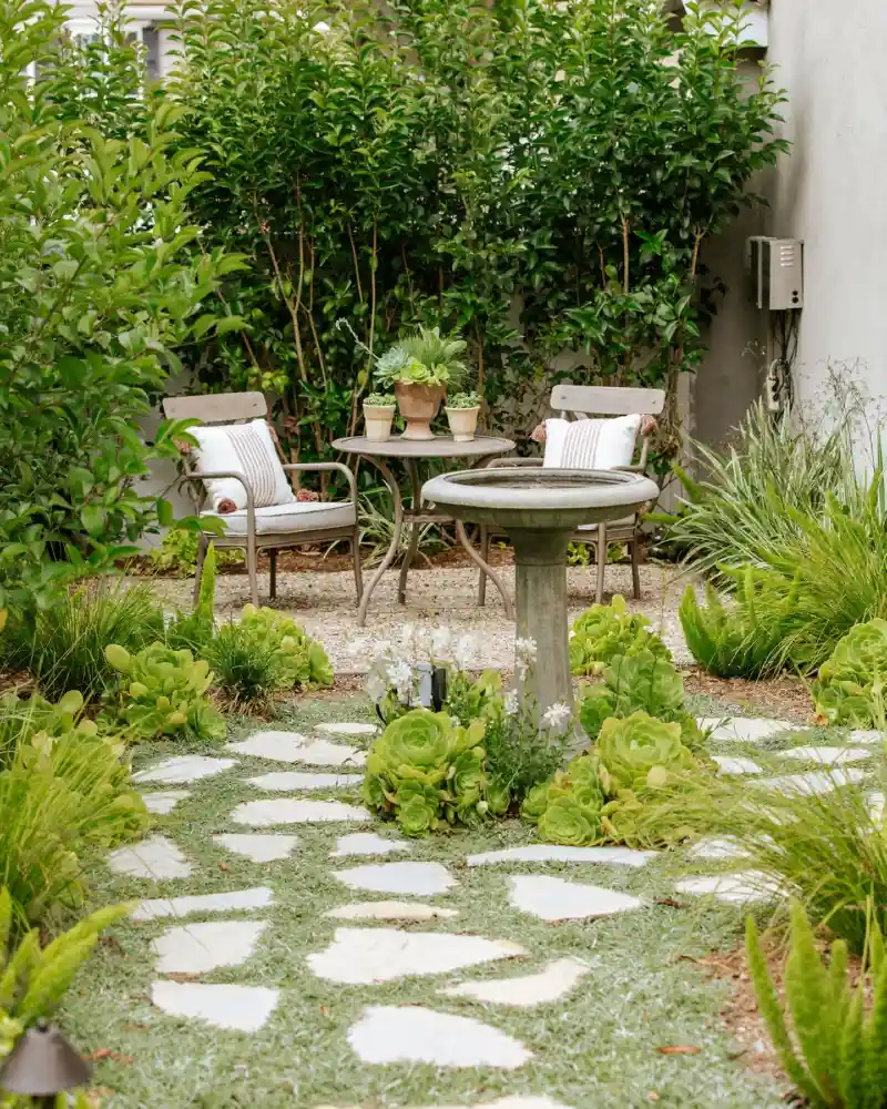 Succulent Path with Bird Bath