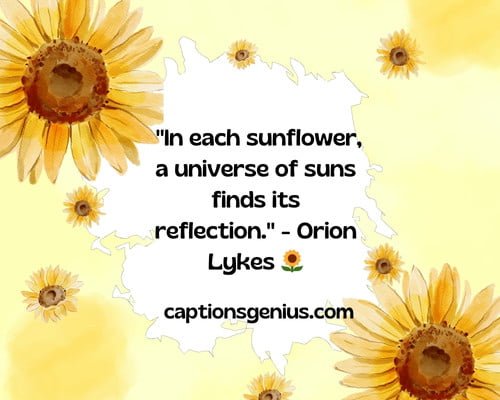 Sunflower Quotes - "In each sunflower, a universe of suns finds its reflection." - Orion Lykes