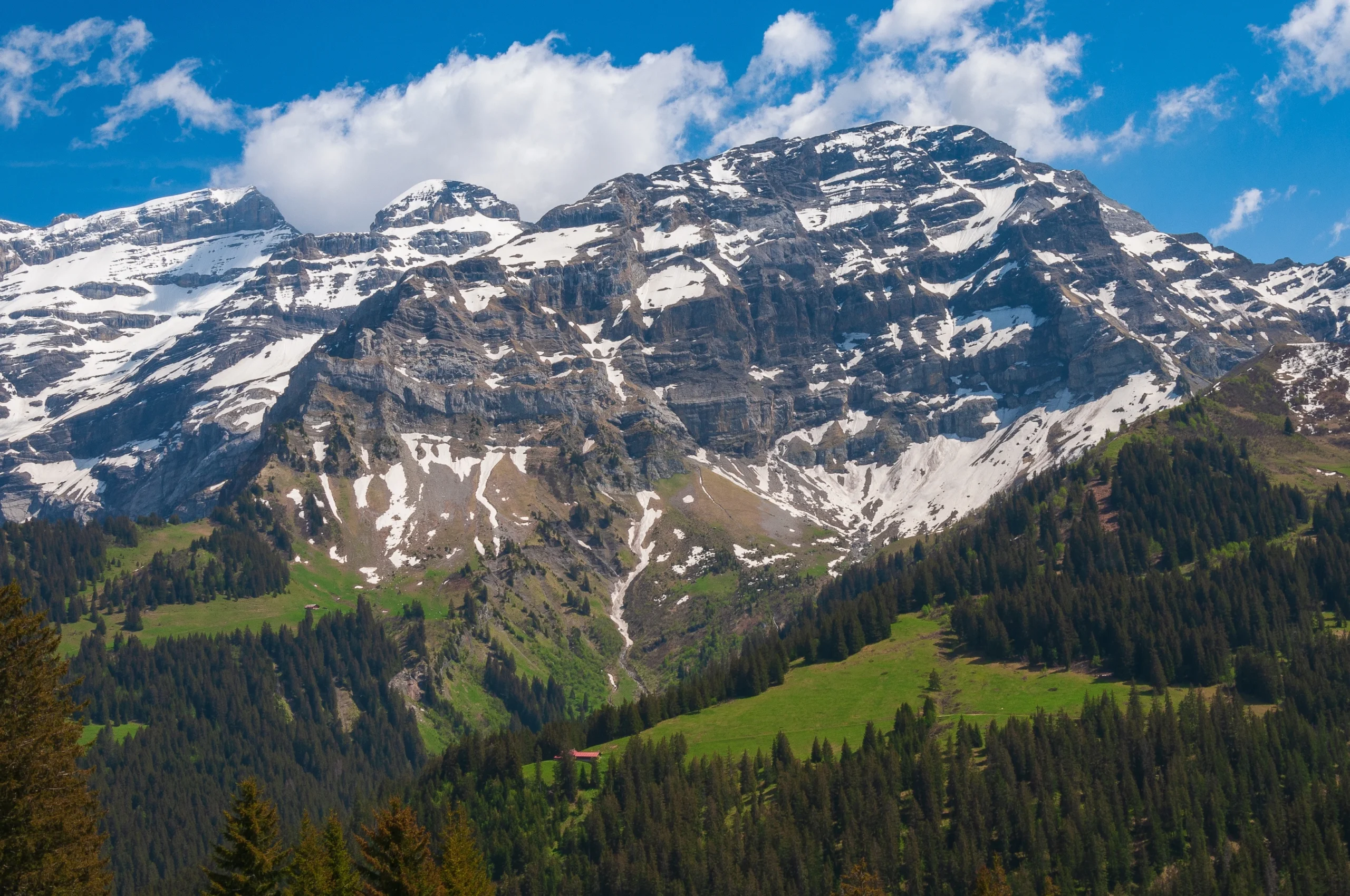 Swiss Alps (Switzerland)