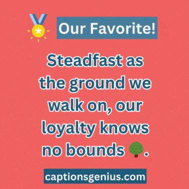 Taurus Captions For Instagram - GIF.