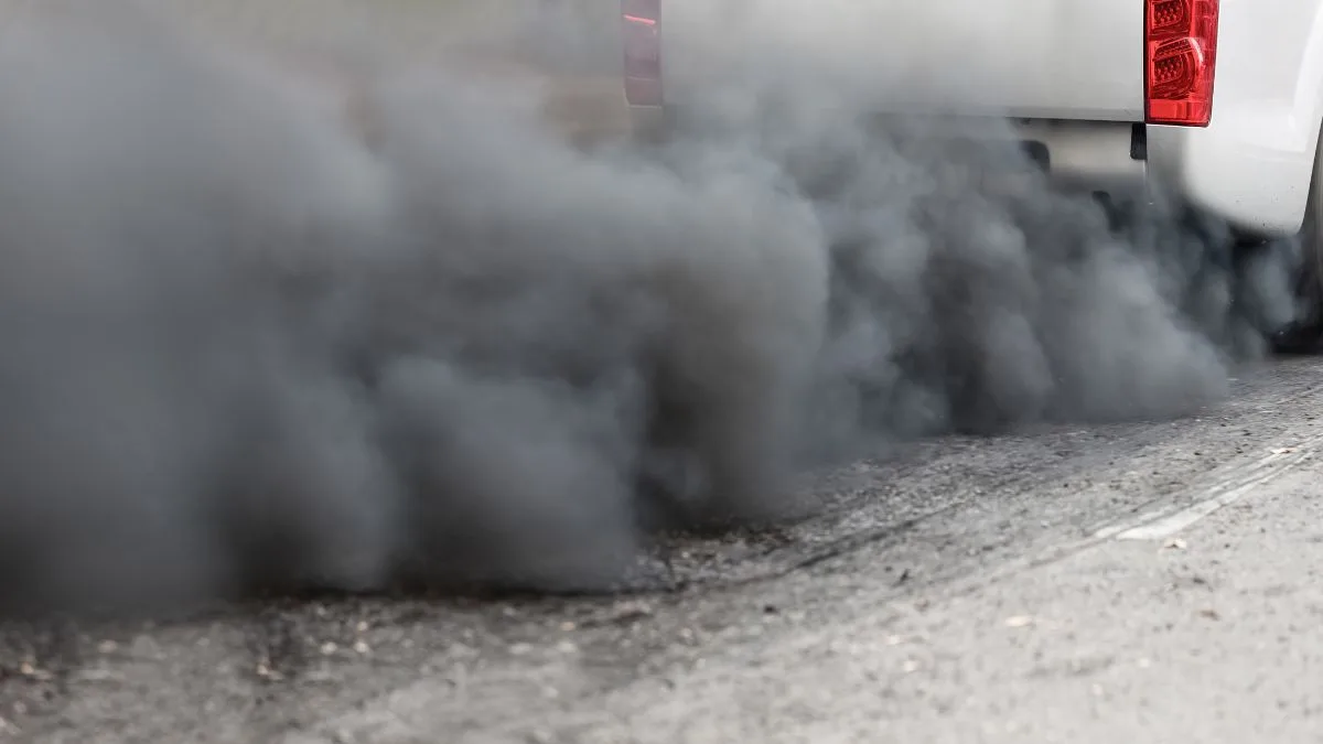 The Environmental Impact of Van Life