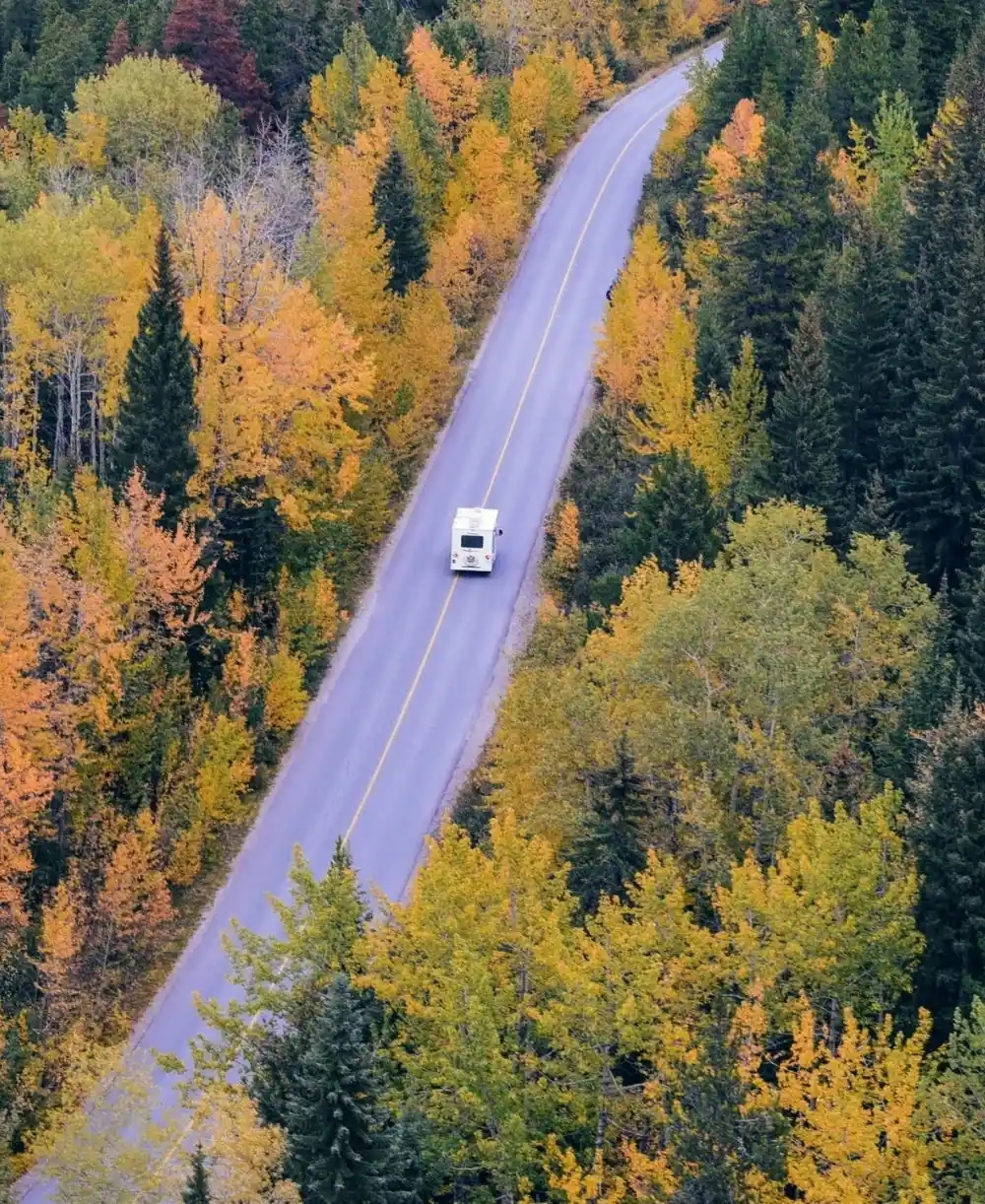 The Fall Foliage Factor Peak Timing for 2025