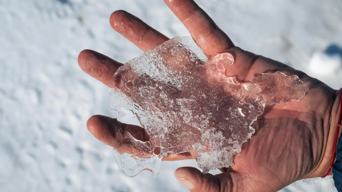 The Frostbite Treatment That Destroys Tissue