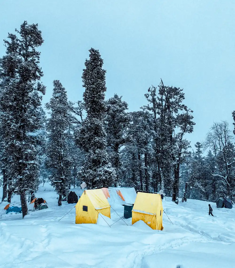 The Future of Cold Camping Trends and Innovations