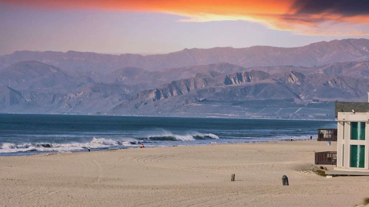 The West Coast Reality
