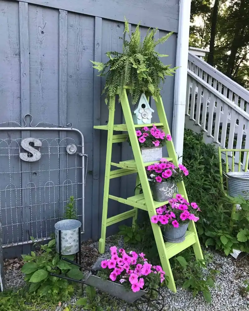 Tiered Ladder Planter Against A Painted Fence