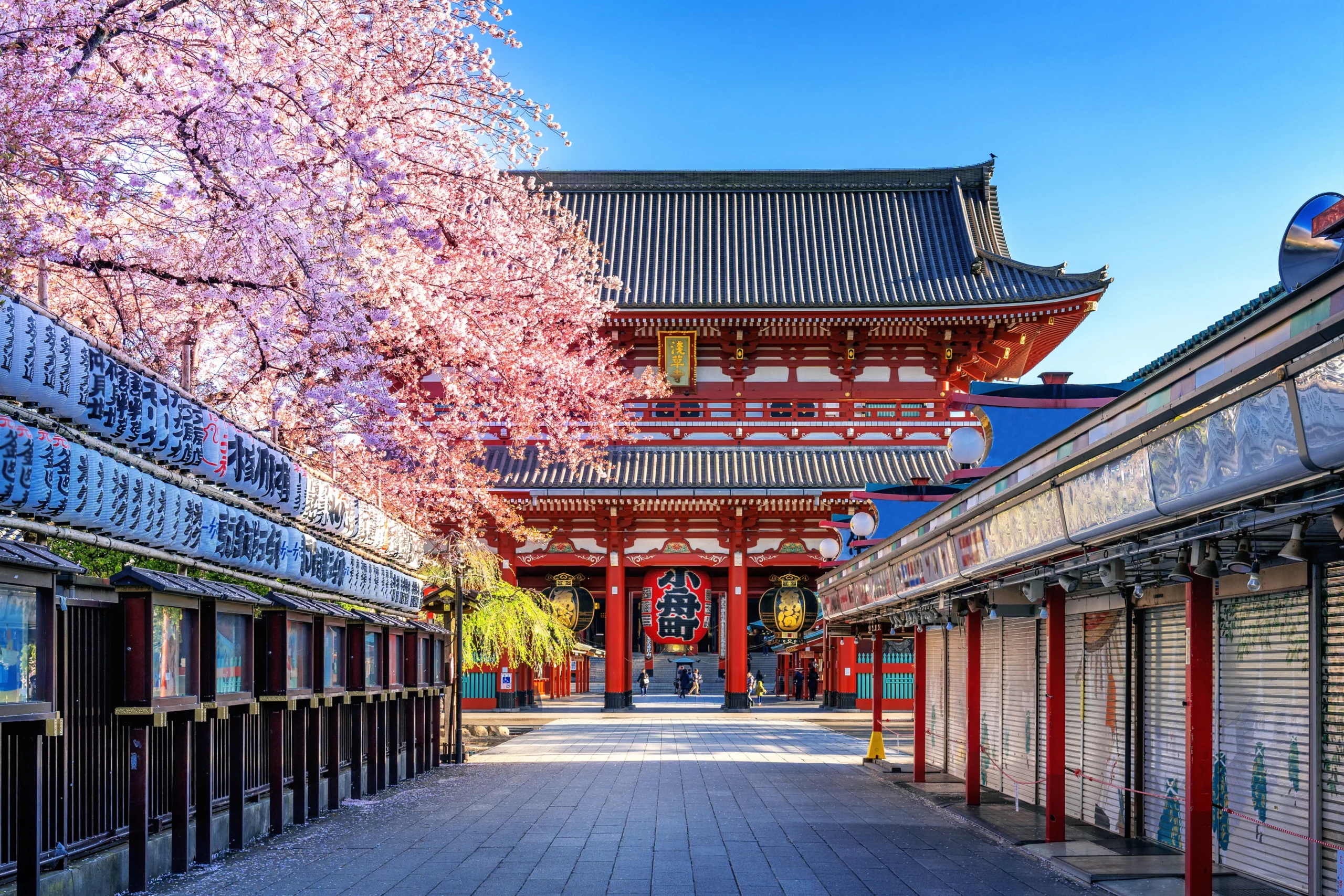 Tokyo (Japan)
