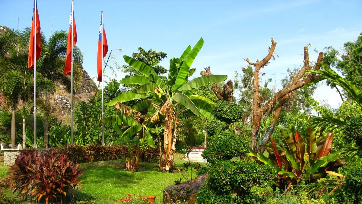 Tropical Gardens