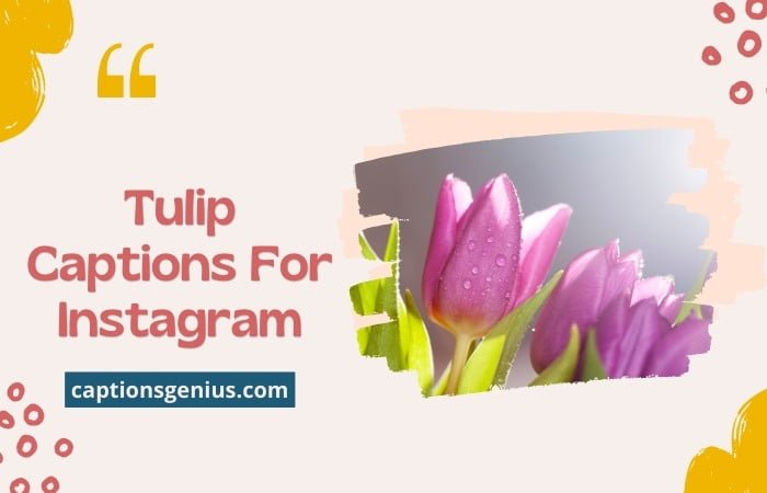 Tulip Captions For Instagram