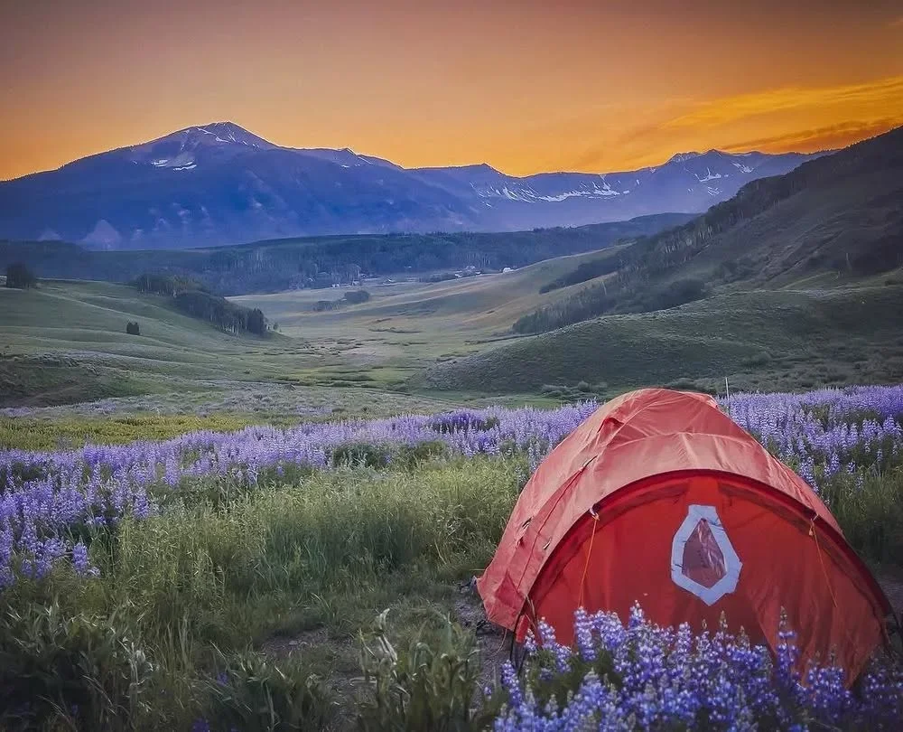 Unique Alternatives to Traditional Camping