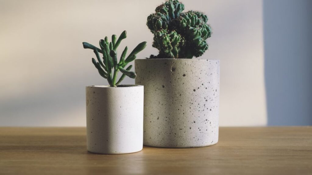 15. Unique Textural Combinations