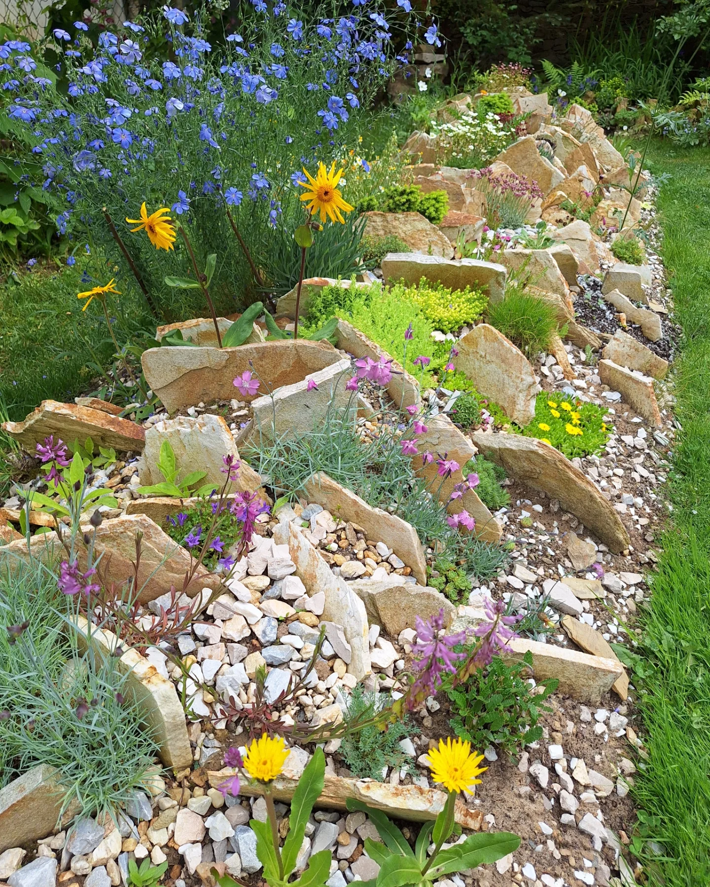 Vertical Sandstone Crevice Bed